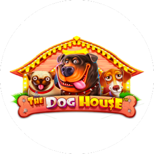 The dog house